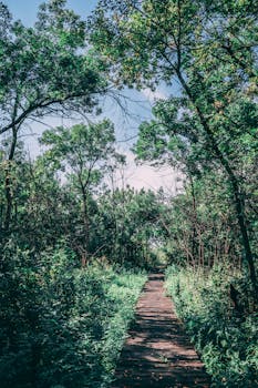 Newark, NJ parks