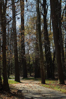 Providence, RI parks