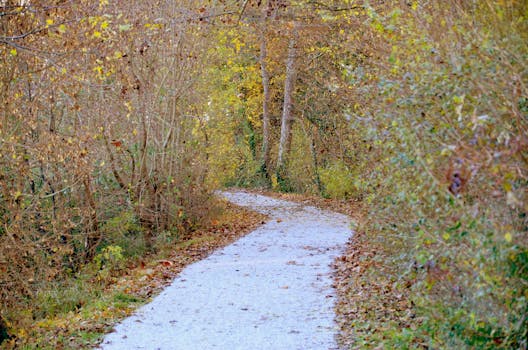 Towson, MD parks