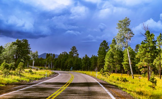 Flagstaff, AZ neighborhood