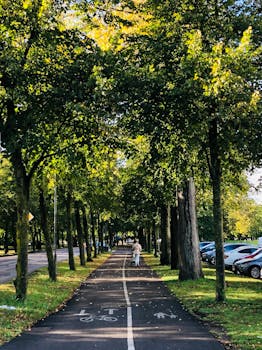 Arlington, VA parks