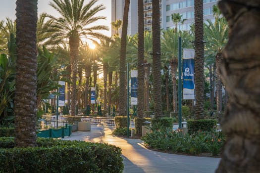 Anaheim, CA neighborhood