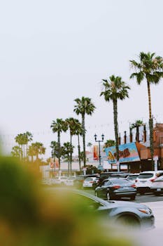 Oceanside, CA business