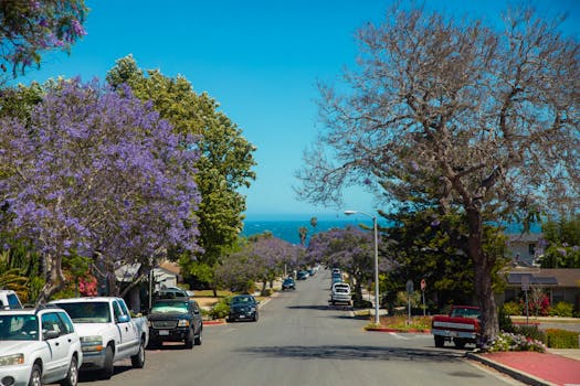 Santa Barbara, CA neighborhood