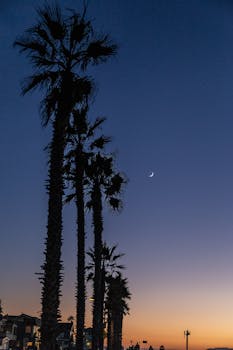 Oxnard, CA business