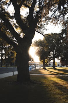Modesto, CA neighborhood