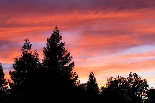 Elk Grove, CA neighborhood