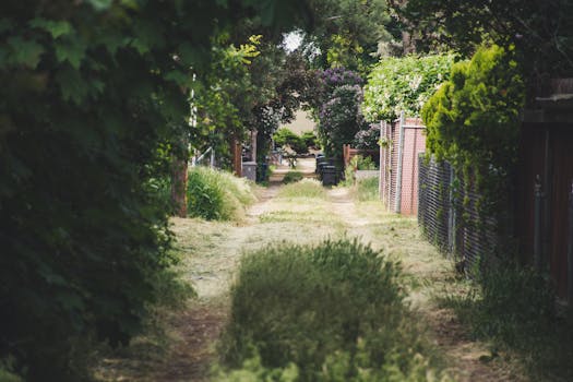 Napa, CA neighborhood