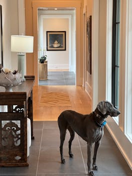 Bluffton, SC hero