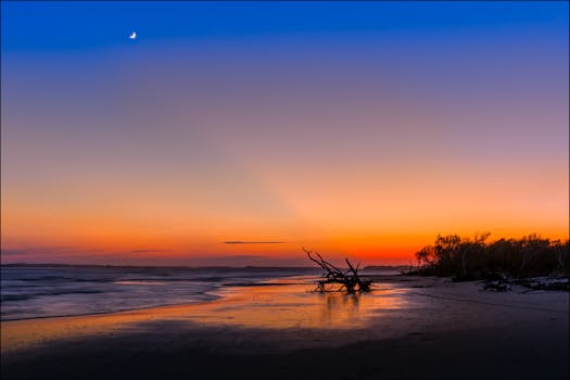 Folly Beach, SC hero