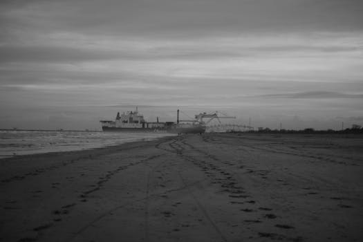Folly Beach, SC business