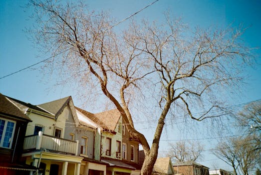 Frederick, MD neighborhood