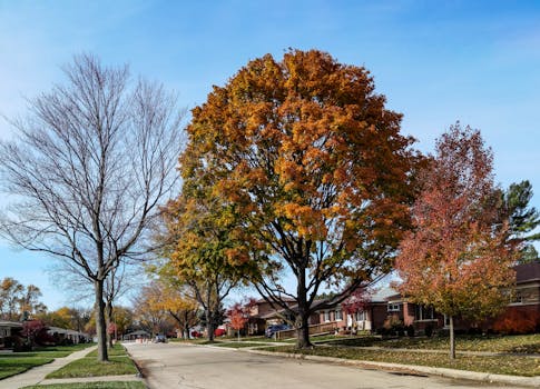 Murfreesboro, TN neighborhood