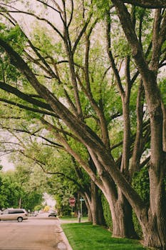 Waco, TX neighborhood