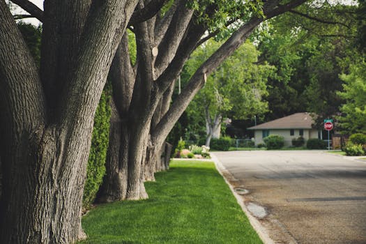 Naperville, IL neighborhood